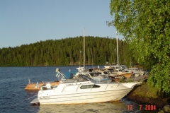 DSC00584